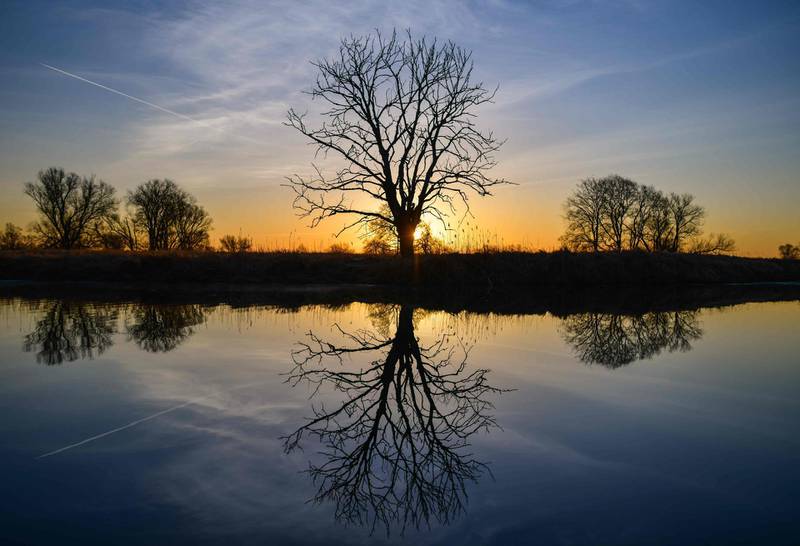 A tree reflecting on the water of a lake in Lebus, eastern Germany. Patrick Pleul / AFP