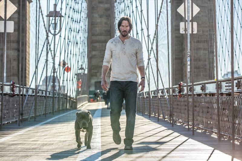 The second film has John Wick dragged back into the assassin world for a mission only to be set up and targeted himself