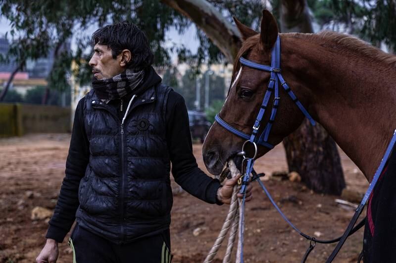Ya Gharami's handler, Maher, holds him steady while they await the arrival of the horse's jockey.