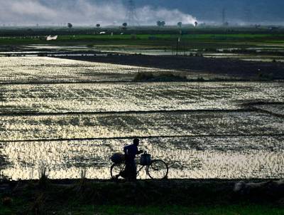 An Indian farmer returns home after planting crops on a field on the outskirts of Guwahati, Assam, India.  EPA