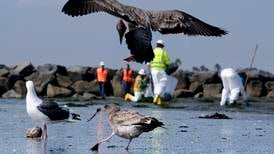 What's happening with the California oil spill?