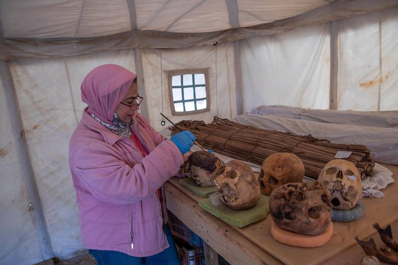 An archaeologist brushes ancient skulls for the media on display that Egyptian archaeologist Zahi Hawass and his team unearthed in a vast necropolis filled with burial shafts, coffins and mummies dating back to the New Kingdom 3000 BC in Saqqara, south of Cairo, Egypt. AP