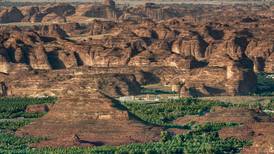 Saudi Arabia's Harrat Uwayrid added to Unesco biosphere reserves list 