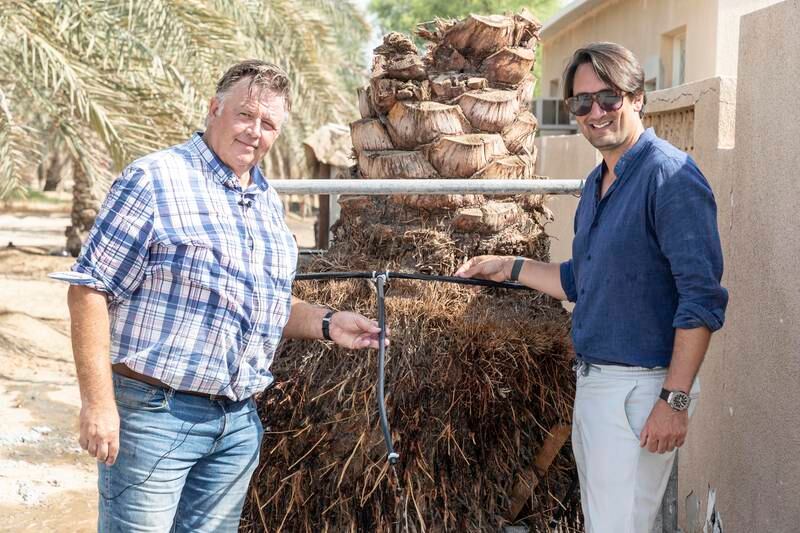 Patrick Stevens and Nicholas Bruylants, founders of Dubai company Terraplus, with a palm tree root system. Antonie Robertson / The National