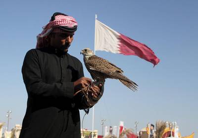 A Qatari man prepares his falcon to participate in a falcon contest during Qatar International Falcons and Hunting Festival at Sealine desert, Qatar. Critics say that hunting with falcons is a reckless hobby that threatens the houbara, a dwindling species, and funnels money into areas controlled by militias. Naseem Zeitoon / Reuters