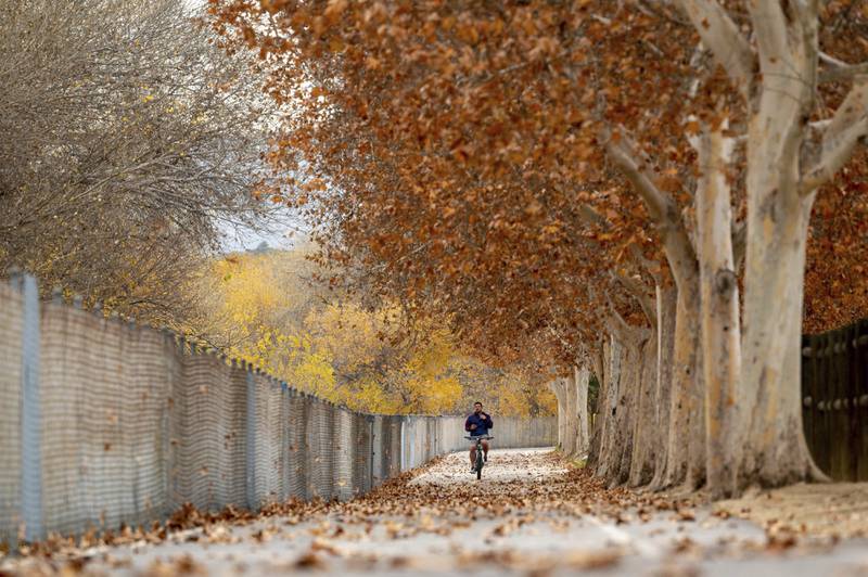 Leaves cover the South Fork Trail bike path in Santa Clarita, California, on Tuesday, before an expected storm. AP