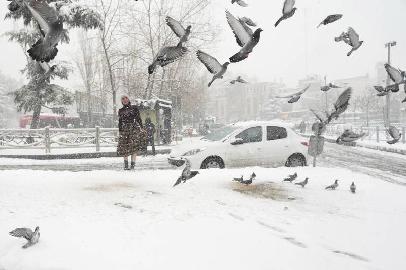 Pigeons forage for something to eat in the snow at Tajrish Square in Tehran. AP