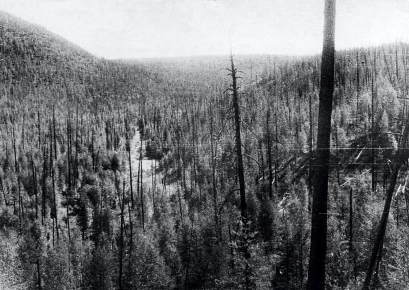 Падение тунгусского метеорита в 1908 году фото