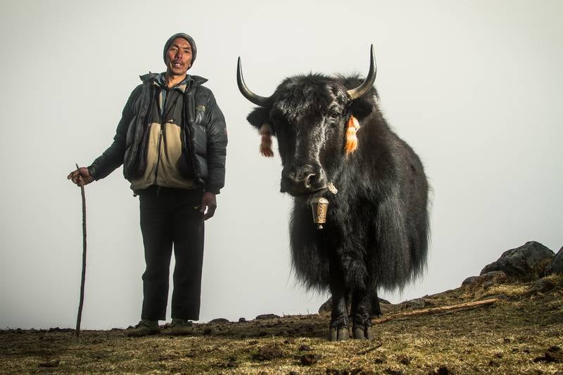 A yak herder in the foothills of Mount Kanchenjunga, Nepal, who says he sometimes hears yetis whistling at night. All photos: Stuart Butler for The National