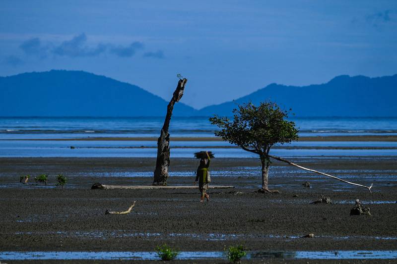 A woman returns home after fishing in Aceh province, Indonesia. AFP

