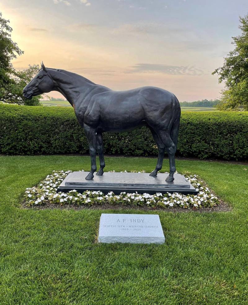 Thoroughbred AP Indy lived most of his life at Lane's End Farm, where he was born and raised, and stood his entire stud career. Photo: Lane's End