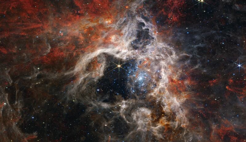 Thousands of young stars in a stellar nursery called the Tarantula Nebula. Photo: Nasa