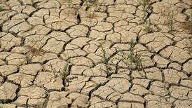 Experts and officials warn of bleak outlook for drought-hit Iraq