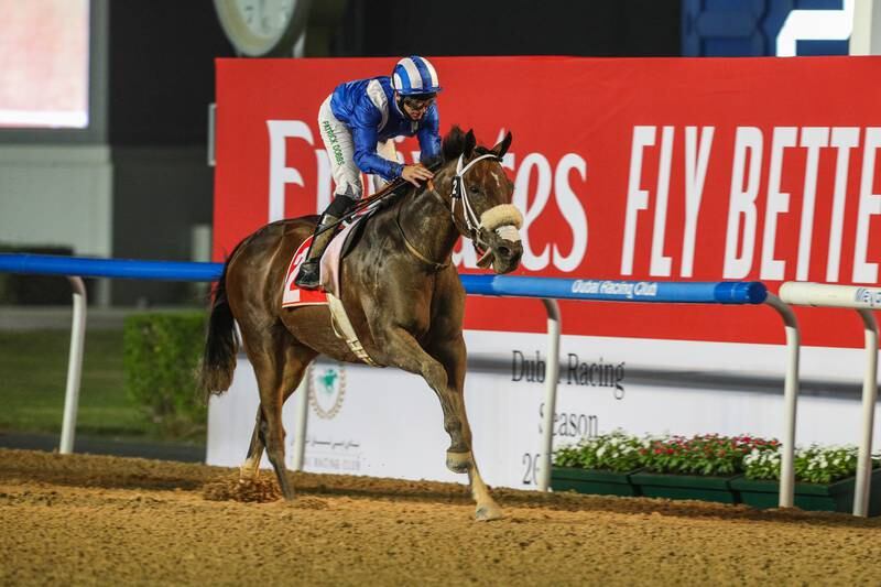 Al Qaqaaruns in the concluding concluding handicap for thoroughbreds in Abu Dhabi. Cedric Lane for The National
