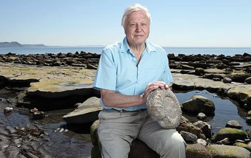 Sir David Attenborough will teach British school children geography lessons. Courtesy Emirates Literature Foundation
