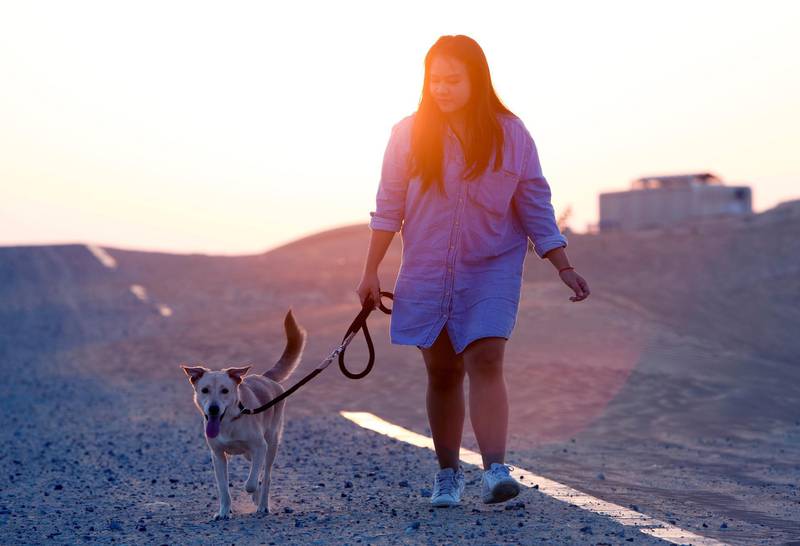 UMM ALQUWAIN, UNITED ARAB EMIRATES - A visitors walking a dog at the Stray Dog Centre, Umm AL Quwain.  Ruel Pableo for The National for Evelyn Lau's story