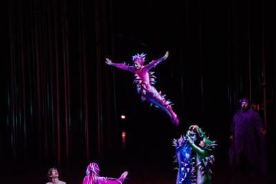 Varekai at Cirque Du Soleil. Photo by Martin Girard