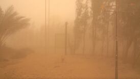Sandstorm closes schools in southern Jordan