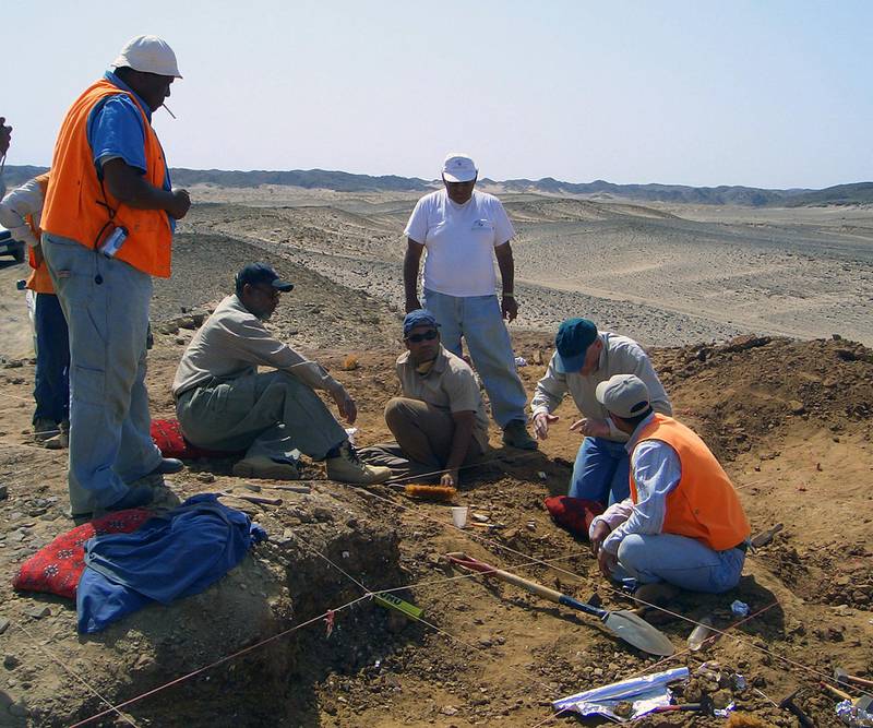 Excavation work in the north-west of Saudi Arabia. Benjamin Kear