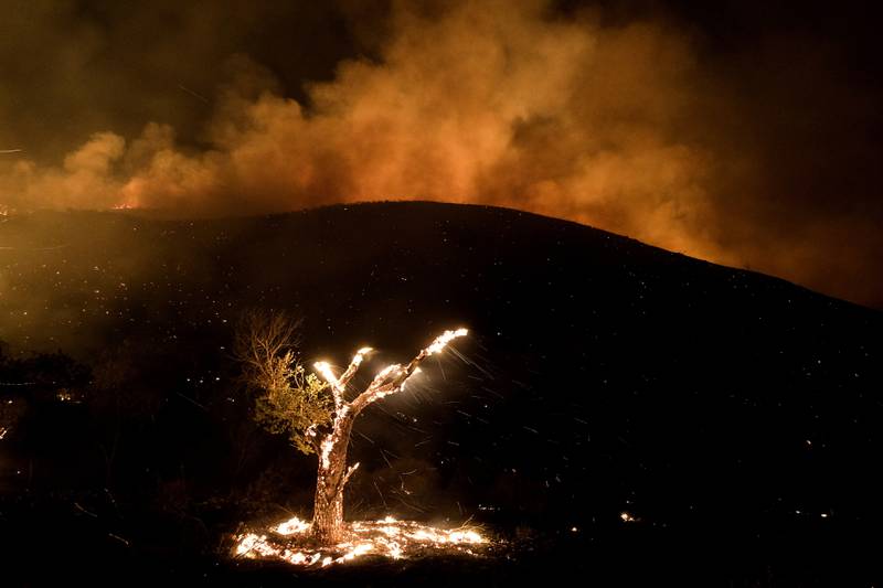Wind whips embers from a burning tree during a wildfire Tuesday, Sept.  6, 2022, near Hemet, Calif.  (AP Photo/Ringo H. W.  Chiu)