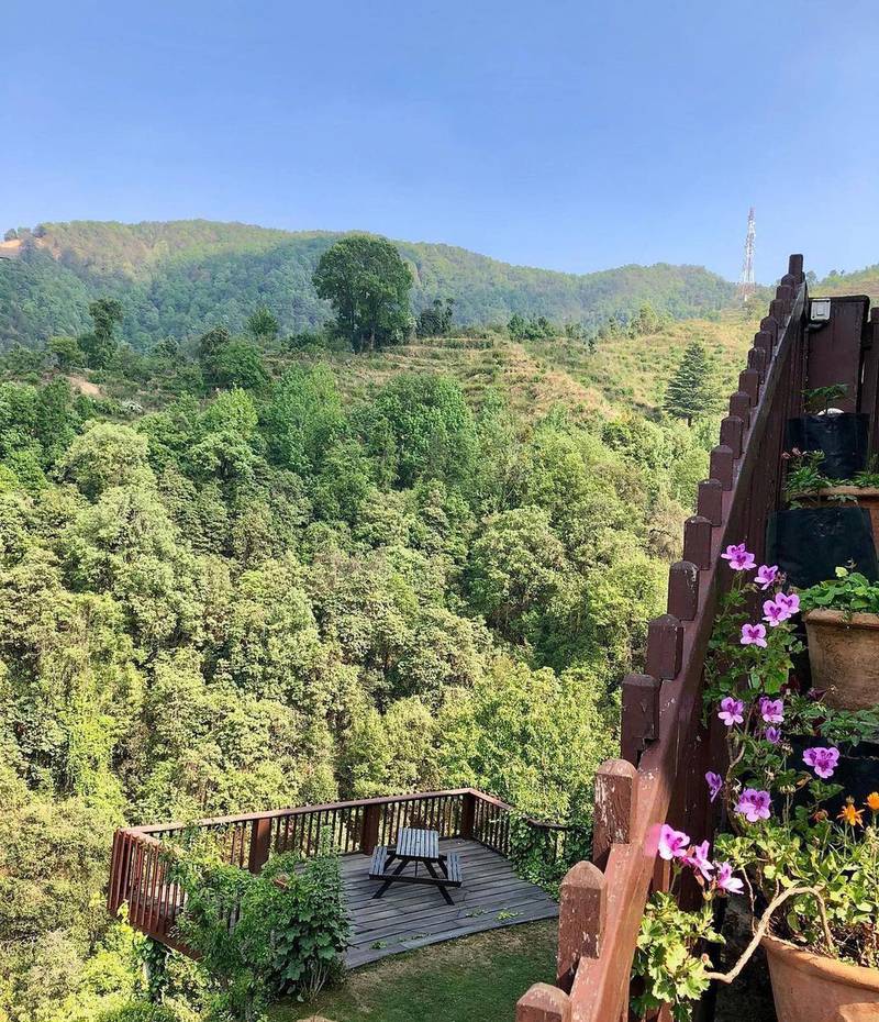 Soulitude by the Riverside is tucked away in a lush gorge.  Photo: Soulitude Riverside / Instagram
