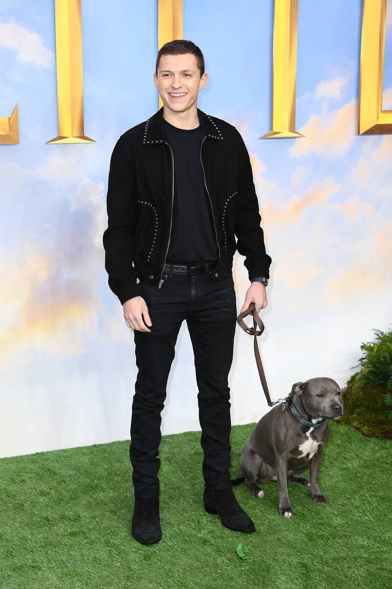 Tom Holland, in head-to-toe black Saint Laurent, attends the 'Dolittle' special screening with a pet dog in London on January 25, 2020. Getty Images