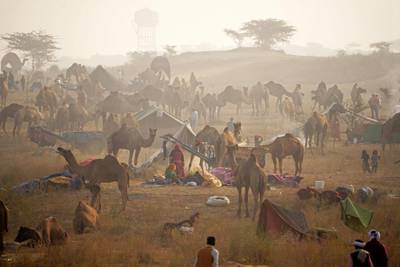 Camel herders rest before the annual camel fair at Pushkar in India's desert state of Rajasthan. AFP
