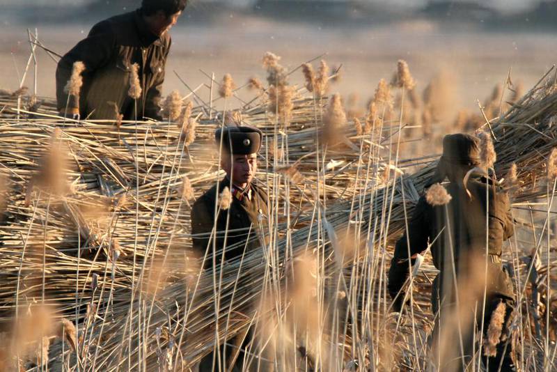 North Korean soldiers work in a field in Sinuiju, North Korea. Chinatopix via AP