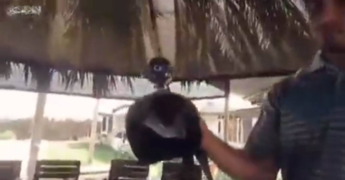 A screenshot from a video posted by Hamas showing what appears to be a dolphin harness.