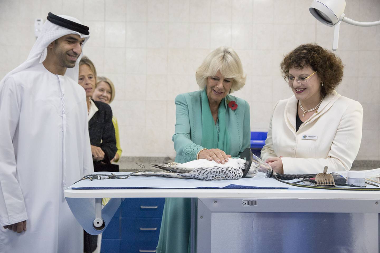 Camilla, Duchess of Cornwall, at Abu Dhabi Falcon Hospital with Dr Thani Al Zeyoudi, Minister for Climate Change and Environment, and Dr Margit Muller. Photo: Sharina Lootah / Crown Prince’s Court – Abu Dhabi