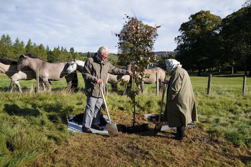The royals have committed to preserving woodland and wildlife, and this year, to celebrate her reign, the queen has partnered with Woodland Trust through the Queen's Green Canopy initiative to donate more than three million trees. Getty Images