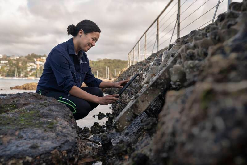 Finalist in the Revive our Oceans category – Living Seawalls, in Australia. Dr Maria Vozzo from the Living Seawalls team conducts a biodiversity count on a series of the ‘habitat tiles’.