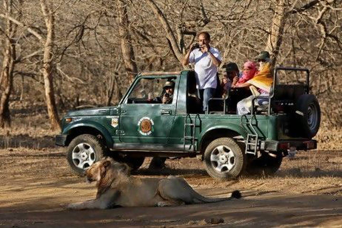 Tourists watch an Asiatic lion during a safari at the Gir sanctuary in the western Indian state of Gujarat.