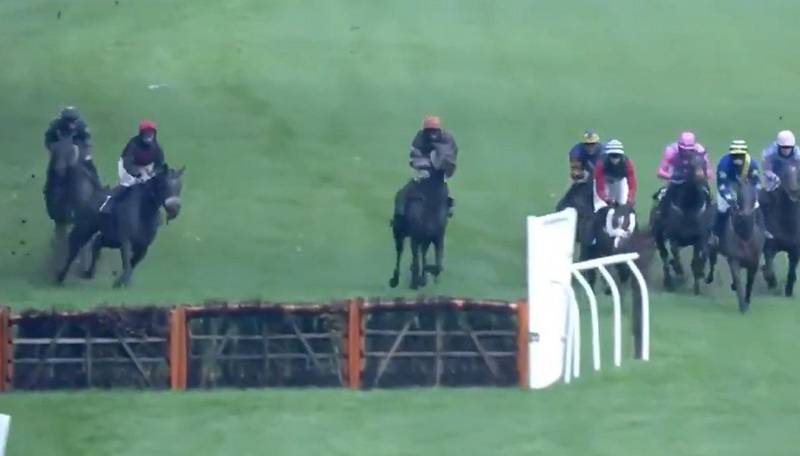 Dharma Rain was handed a surprise victory in a British hurdle race on Sunday after the top six runners were disqualified for racing around a hurdle instead of jumping over it. 