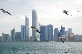 Abu Dhabi's IHC 'evaluating' Adani Enterprises FPO stake