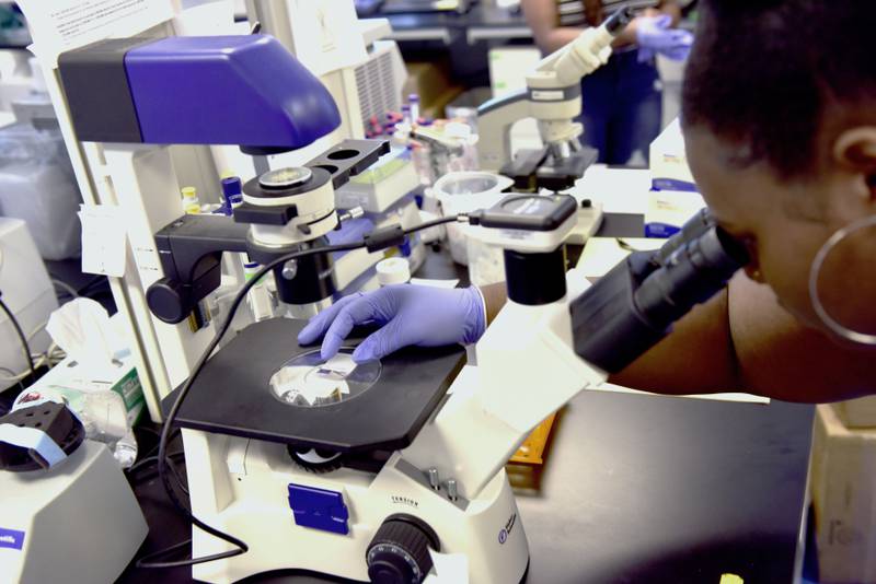 An intern at the Hampton University Cancer Research Centre in Virginia, the US, examines cancer cells. AP