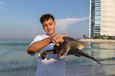 About a dozen hawksbill and green turtles were released by the Dubai Turtle Rehabilitation Project at Burj Al Arab Jumeirah.
Antonie Robertson / The National