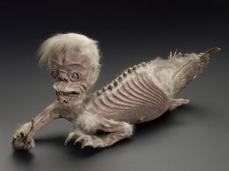 A dried merman from London's Science Museum. According to the museum, it is possibly a Javanese ritual figure from Denmark or Japan and dates back to 1850-1900. Via @Punk_Science / Twitter 
