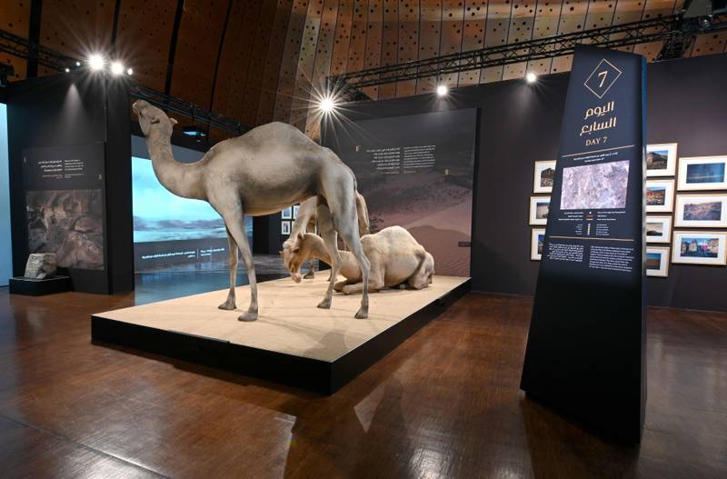 The exhibition includes re-enactments and contemporary art along with academic sources, which tell the story of the Prophet Mohammed's migration.  AFP