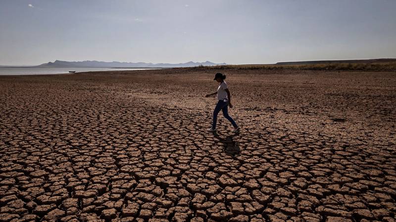Morocco is experiencing its worst drought in at least four decades. AFP