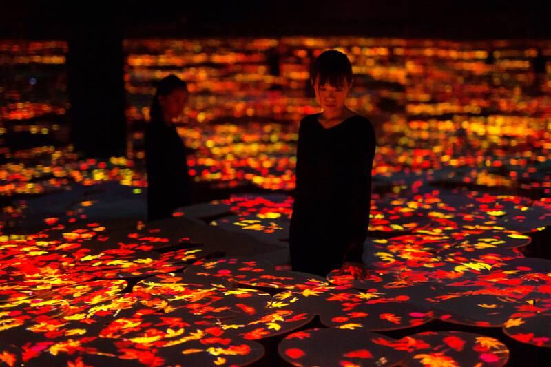 'Memory of Topography_Autumn_Autumn Leaves' by teamLab.