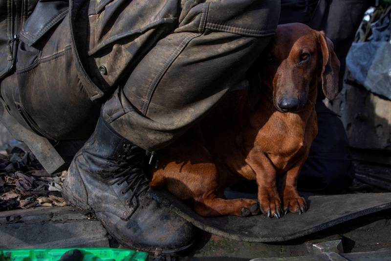 A dog named Chip sits with a Ukrainian serviceman who repairs a tank near the frontline town of Bakhmut, during Russia's attack on Ukraine, in Donetsk region on January 20. Reuters