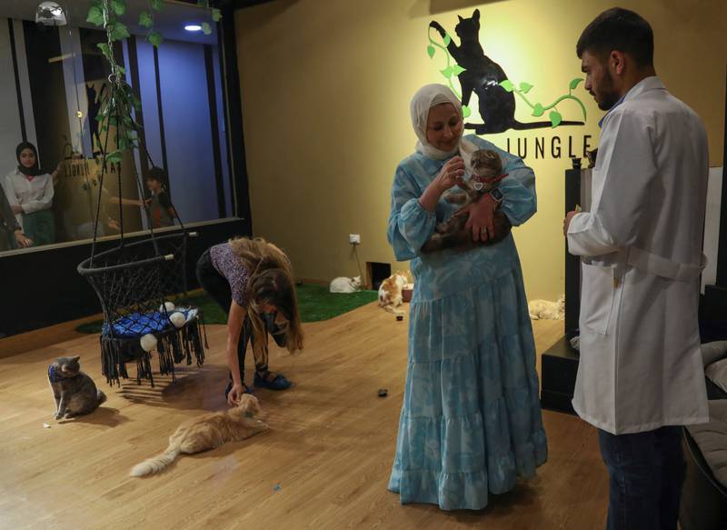 A Jordanian woman, Nihad Ashouri, second from right, has opened a sanctuary for cats in the capital Amman. All photos: Reuters