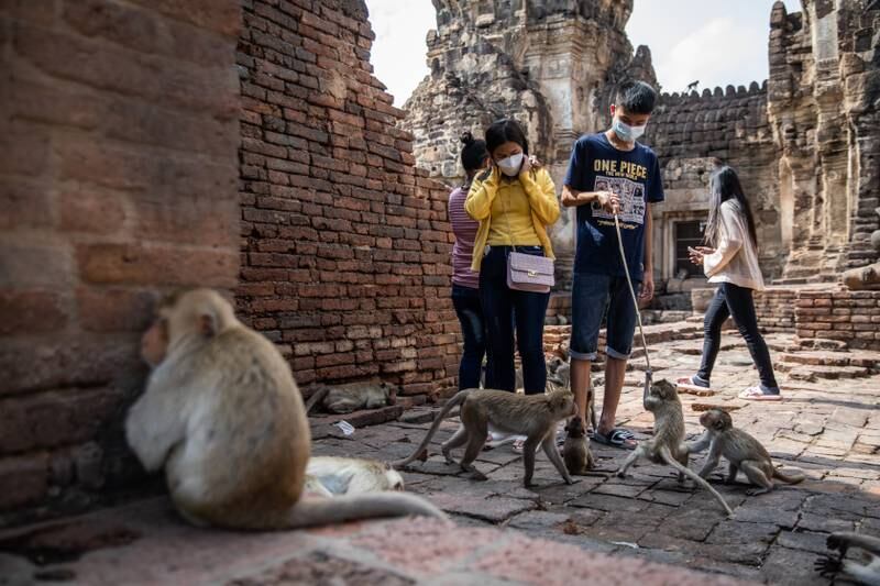 Local tourists play with monkeys at the Phra Prang Sam Yot temple in central Lopburi. Getty Images