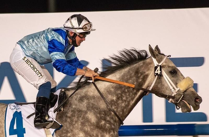 Sam Hitchcock on Golden Goal won the Group 2 Al Maktoum Challenge Round-1 in the Dubai World Cup Carnival’s opening meeting at Meydan on Friday. Photo: DHRIC