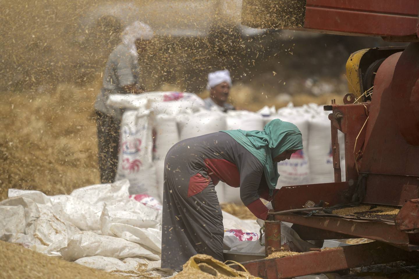 A farmer outside a wheat-flour mill on a farm in Egypt's Nile Delta. AP
