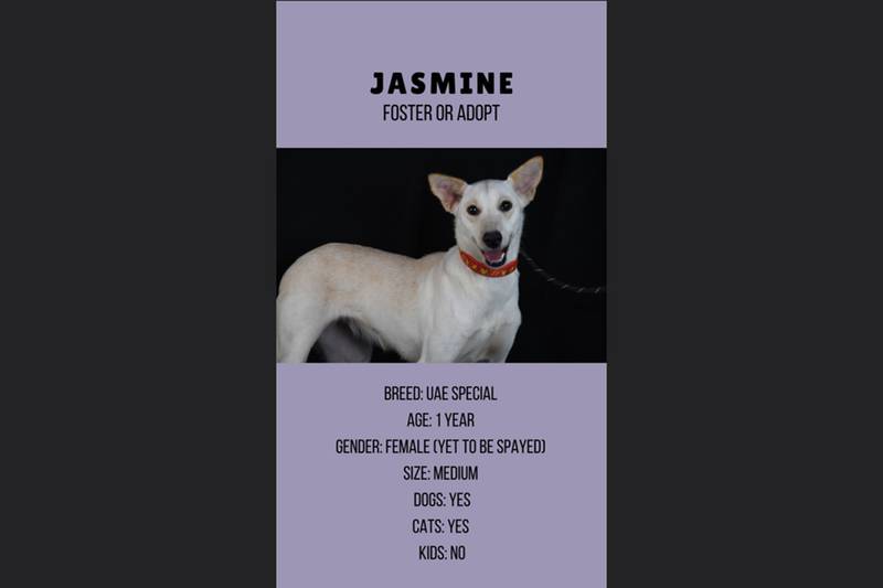Jasmine, 1, female.