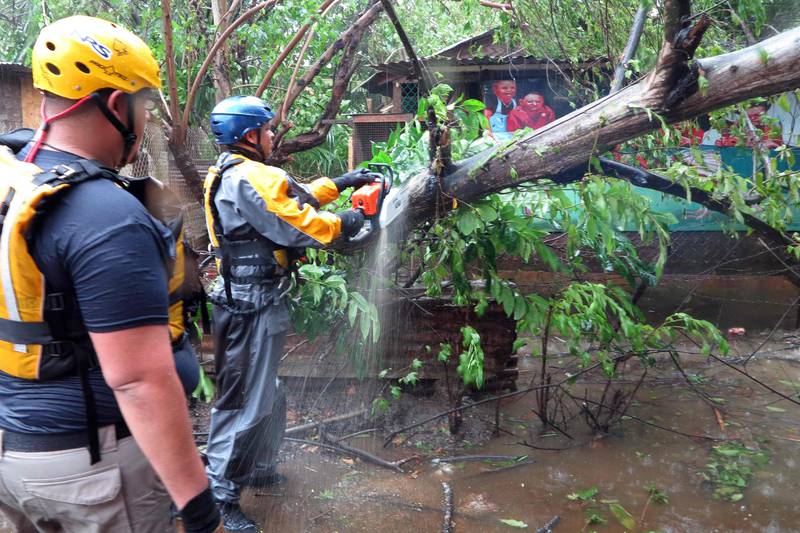 Search and rescue crew members clears a fallen tree in Fajardo, Puerto Rico. Ricardo Ardyengo / AFP Photo