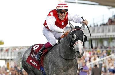 Sir Bani Yas' final race is expected to be the Qatar Arabian World Cup at Chantilly in October. Steven Cargill / Racingfotos.com
