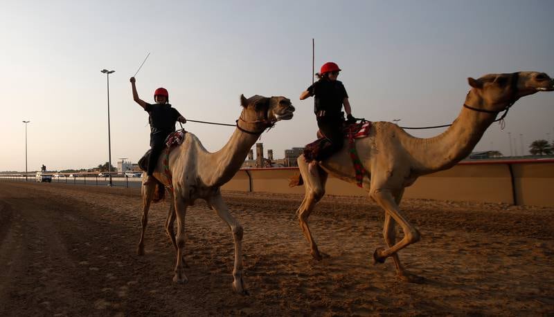 Travelling at speeds of up to 45kmph, riders hold on to a small handle for support and use a stick to help direct the camel. EPA